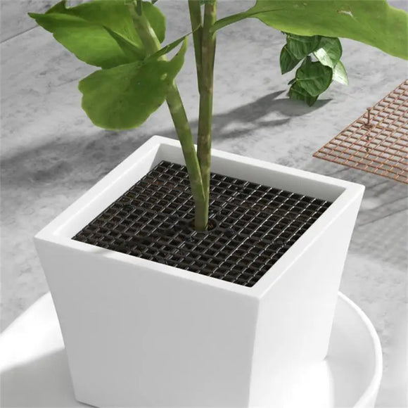 Plant Pot Soil Guard