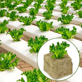 500/50Pcs Planting Sponge Rock Cotton Starter Plugs Hydroponic Grow Media Cube Plant Propagation Grow Cubes Home Garden Supplies