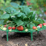 5PCS Gardening Stand Strawberry Stand Frame Holder Balcony Planting Rack Fruit Support Plant Flower Climbing Vine Pillar