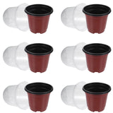 10 Seedling Pot with Covers