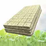 50pcs 25x25x25mm Stonewool Hydroponic Grow Media Cubes Plant Cubes Soilless Substrate Seeded Rock Wool Plug Seedling Block