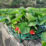 5PCS Gardening Stand Strawberry Stand Frame Holder Balcony Planting Rack Fruit Support Plant Flower Climbing Vine Pillar