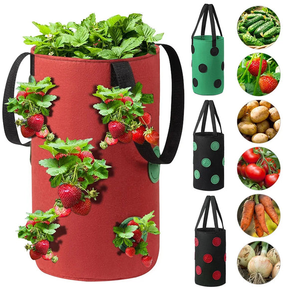 Planter Grow Bag Hanging