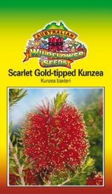 Scarlet Gold-tipped Kunzea - Kunzea Baxter seeds