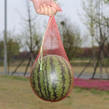 100Pcs Hanging  Grow Net Bags