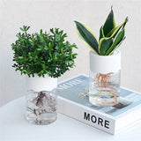 Hydroponic Flower Pot Home Vase Decor Transparent Imitation PET Plastic Plant Pots Green Plants Pot For Home Decoration