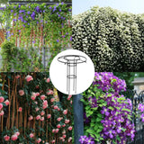 Garden Trellis For Climbing Plants Rust-Proof Trellis Metal Vine Plant Support Trellis DIY Climbing Trellis Flower Pots Supports