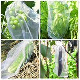 10/50pcs Fruit Protection Bags