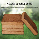 Coconut Brick Nutrient Soil