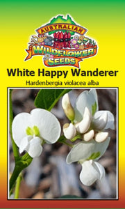 White Happy Wanderer (SEEDS) - Hardenbergia violacea