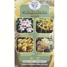 Australian Scented Plants - Mountain Lilac, Native Frangipani, Sweet Scented Paperbark, Native Hemp. seeds