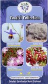 Coastal Collection - Boobyalla, Cushion Bush, Round Pigface, Native Hop Bush. seeds