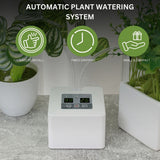 NOVEDEN Plant Watering System  30-Day Programmable