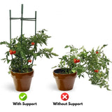 NOVEDEN Tomato Supports Cages