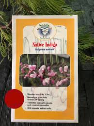 Native Indigo - Indigofera Australis