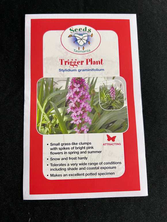 Trigger Plant - Stylidium graminifolium seeds