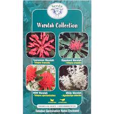 Waratah Collection - Tasmanian, Gippsland, NSW, White seeds