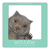 Childrens Book - Willow- Samara Dixon