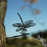 Animal Art Australia -Dragonfly