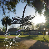 Animalia Art Australia Dragonfly