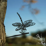 Animalia Art Australia Dragonfly