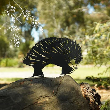 Animalia Art Australia Echidna