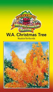 Nuytsia floribunda - WA Christmas Tree (SEEDS)